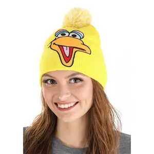 Big Bird Pom Winter Hat