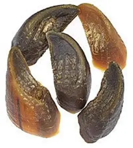 212 MAIN Dog Beef Hooves Chews - Bulk Quantity Pack, Pet Training & Behavior Aid Accessory