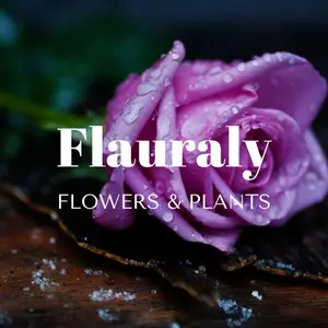 Flauraly Flowers & Plants