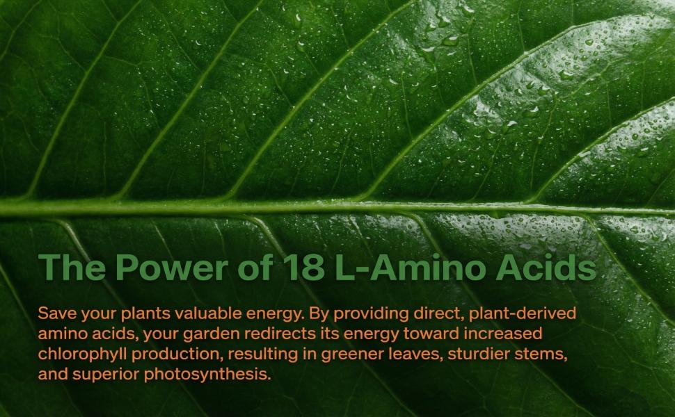 14-0-0 Amino Power Powder by GS Plant Foods | Plant-Based Organic Nitrogen Fertilizer with 18 Amino Acids for Faster Growth, Greener Leaves & Stronger Roots | Gardens, Turf & Hydroponics