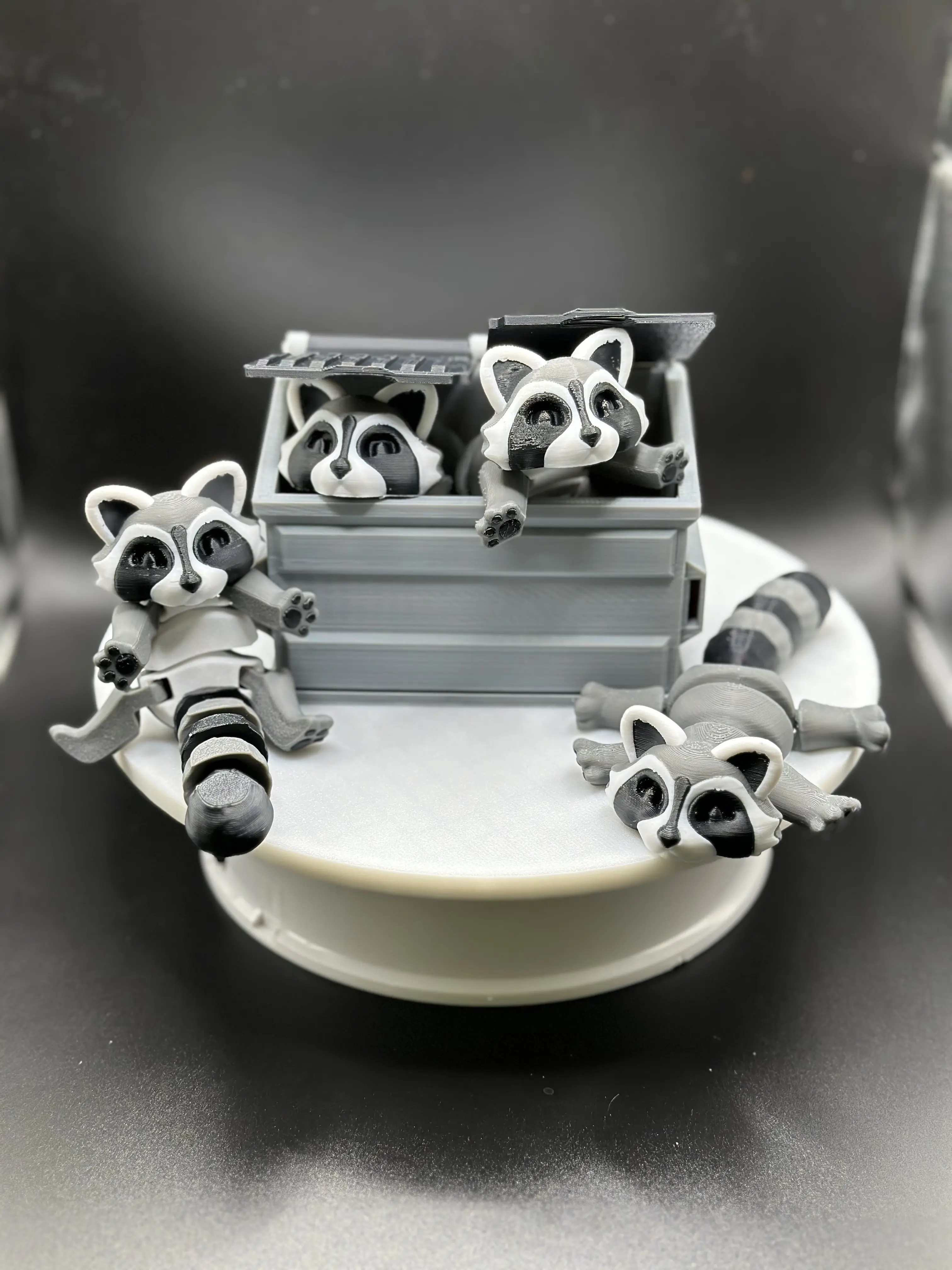 3D Articulated Raccoon (Trash Can Panda) Art Toy Figurine - 2-Piece Set with Movable Parts, Dumpster, Printed Decorative Statue for Room Decor, Bedroom Decor Ideas, Rotatable