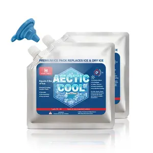 Reusable Ice Pack, 2/4 Counts Long-lasting Frozen Ice Pack for Coolers and Bento Boxes, Essential for Camping, Fishing, Road Trips, Beaches