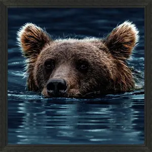 Swimming Brown Bear Framed Wall Art
