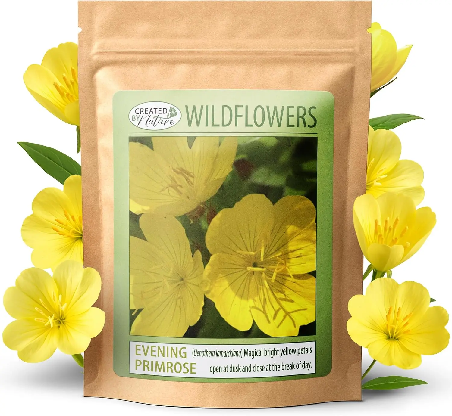 Evening Primrose Seeds for Planting, 44,000+ Yellow Wildflower Seeds, Heirloom Flower Seeds for Home Garden & Outdoor Growing