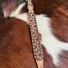 Genuine Leather Dog Collar, Dog Accessories with Black Rawhide