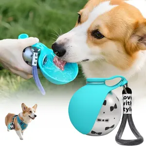 Portable Dog Water Bottle for Small Dogs, Stainless Steel Body and Silicone Bowl, Leak-Proof and Compact, Ideal for Walks and Travel