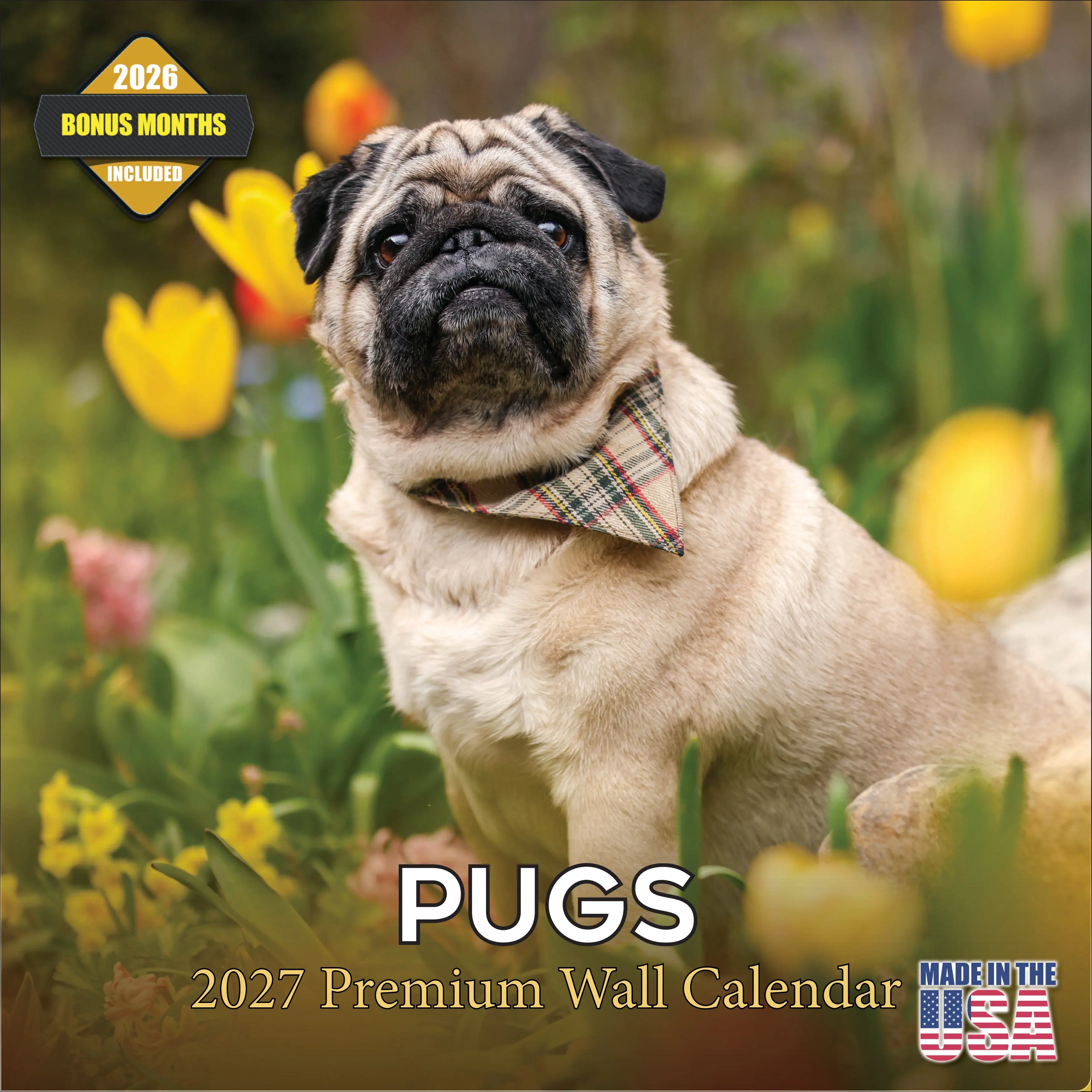 Pug Wall Calendar 2027 - 12" x 12" Monthly Charming & Mischievous Pug Dog Breed Calendar