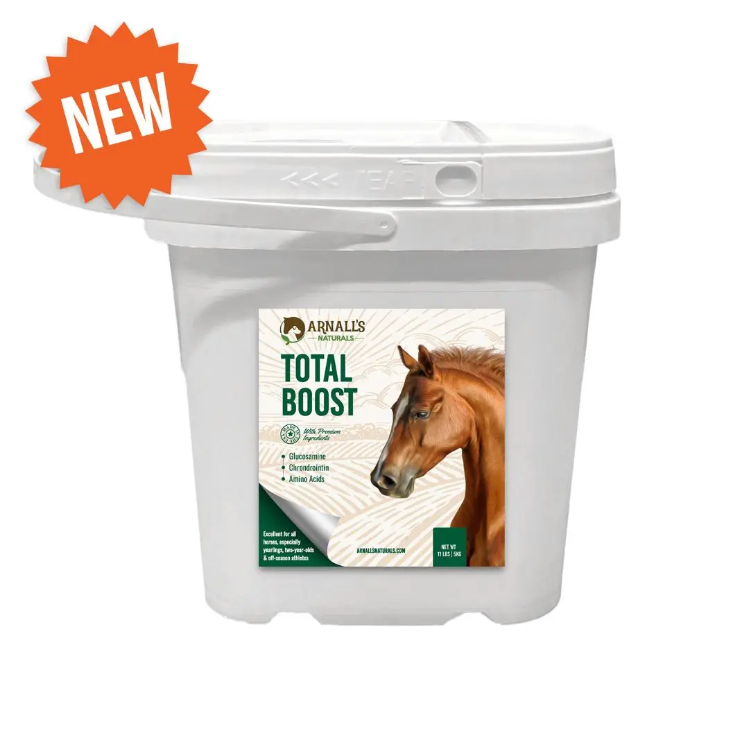 Total Boost: Total Wellness and Maintenance Boost