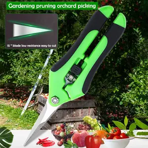 Stainless Steel Pruning Shears Set, Garden Branch Trimming Scissors, Straight Elbow Stainless Blade for Plants, Grape Cutting Tool