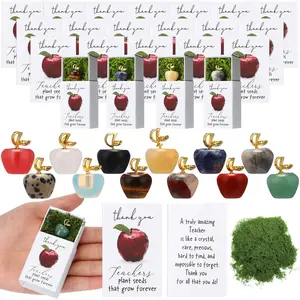 24 Sets Teacher Appreciation Gifts in Bulk Thank You Teacher Desk Decor Stones Emotional Support Green Moss Matchbooks Paperweights Gifts for Women Men Ece Appreciation Day