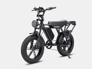 Top 1 All-Terrain Off-Road Vehicle | 1500W Motor, 28mph Max Speed, 62-mile Range | 20"×4 Wide Tires, Shimano 7-Speed, Electric Assist, Passenger-Capable, Safe Off-Road & Urban Commute