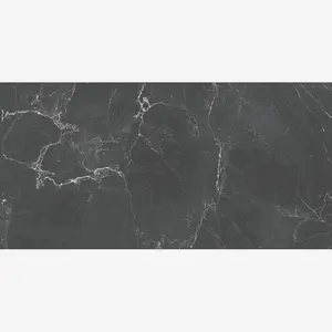 Obsidian Port Noir 24x48 R Porcelain Tile Sample