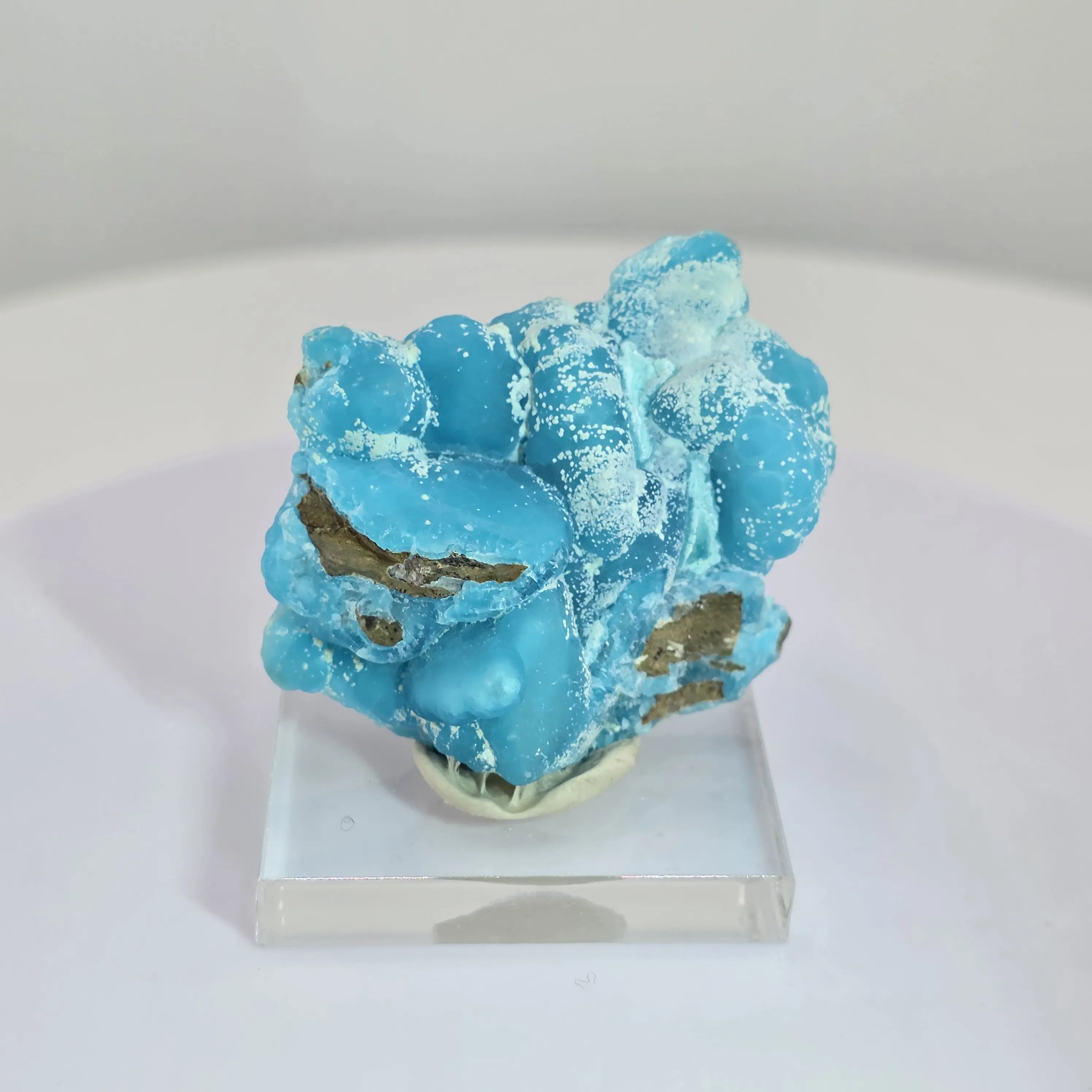 Hemimorphite from Congo - Sky Blue, Bicolor, Botryoidal Mineral Specimen