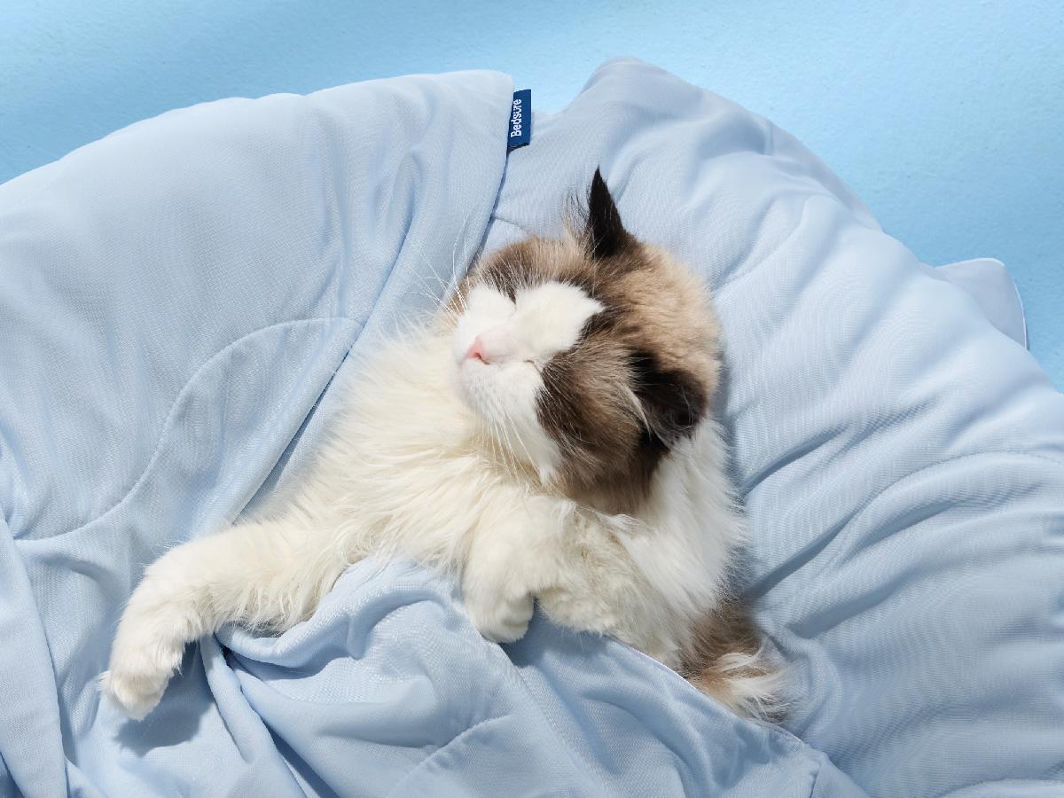 Bedsure Premium Cooling Lightweight Blanket for Pet - Q-MAX>0.4 Breathable Summer Washable Cold Pet Throw Blanket, Soft Durable Self Cooling Cat Dog Mat for Hot Weather