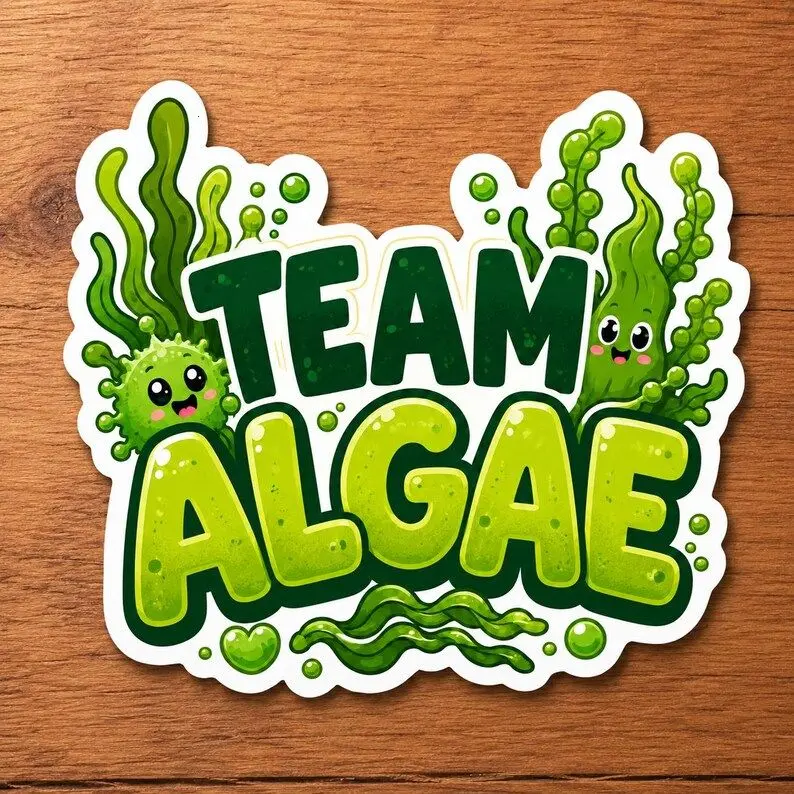 Team Algae Sticker Cute Green Die Cut Algae Sticker Funny Seaweed Sticker Science Biology Sticker