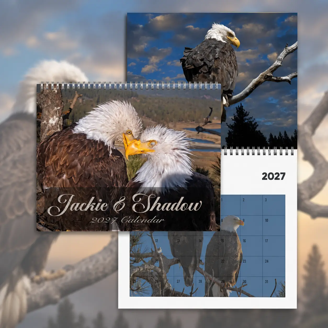 E Story Wall Calendars 2027-2026, Calendar for Home Decor