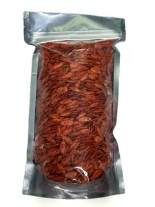 Pepita de Calabaza con Cascara Enchilada 1lb | Mexican Chili Pumpkin Seeds in Shell 1 lb Bag | Pepita de Calabaza con Cáscara | Spicy Snack