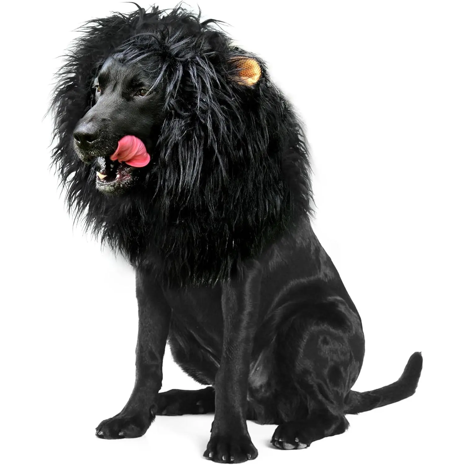 Lion Mane Wig for Dogs with Ears, Funny Pet Costumes for Halloween Christmas (Size L, Black)