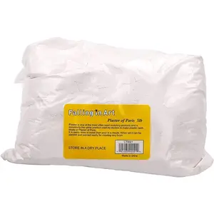 5Lb Plaster of Paris