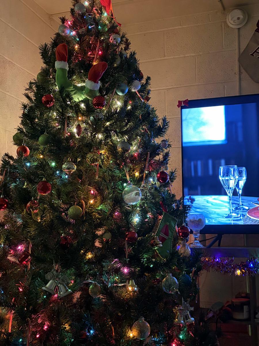 Item: Green (Pack of 1)