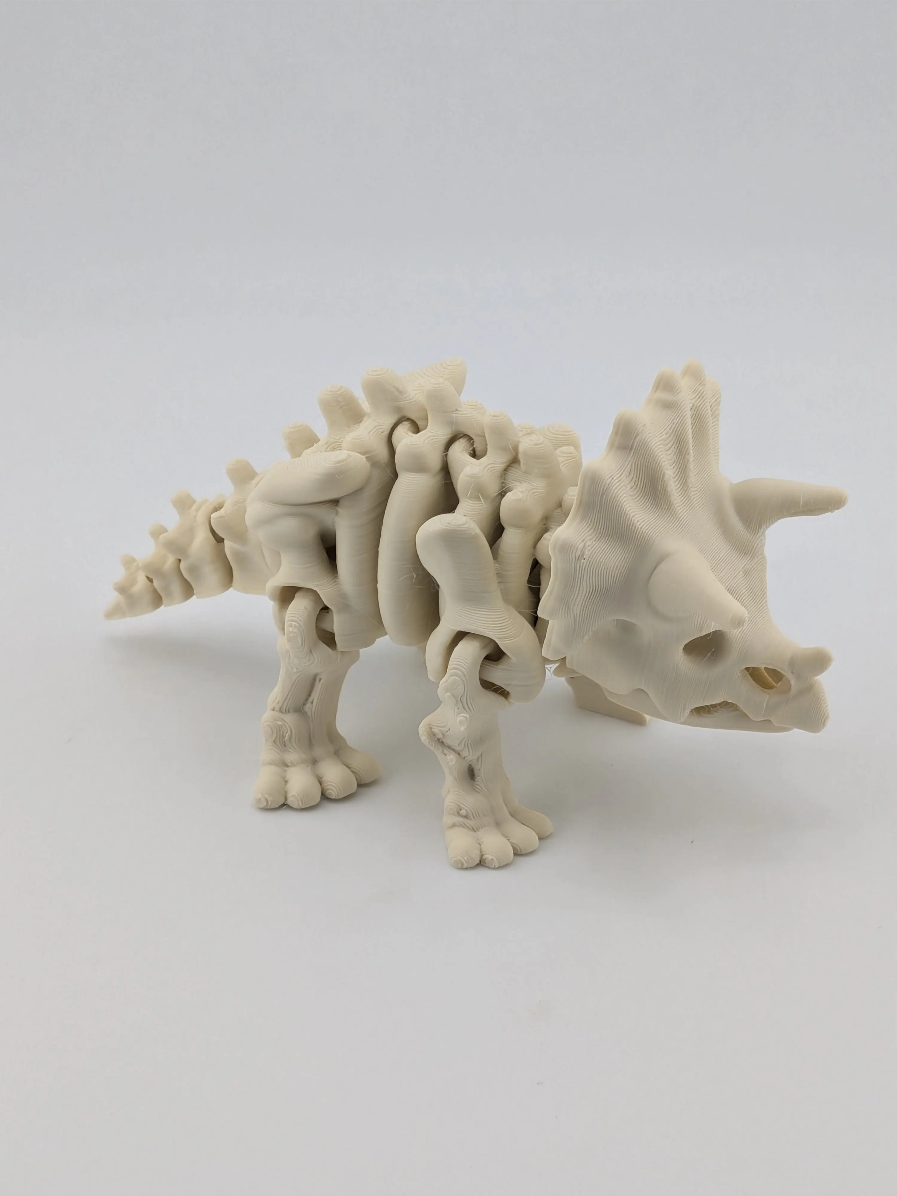 Flexi Skeleton Triceratops – 3D Printed PLA Toy