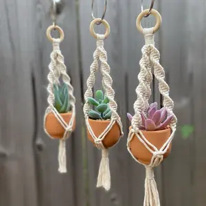 Mini Macrame Plant Hanger - Handcrafted Boho Style - Succulent Included