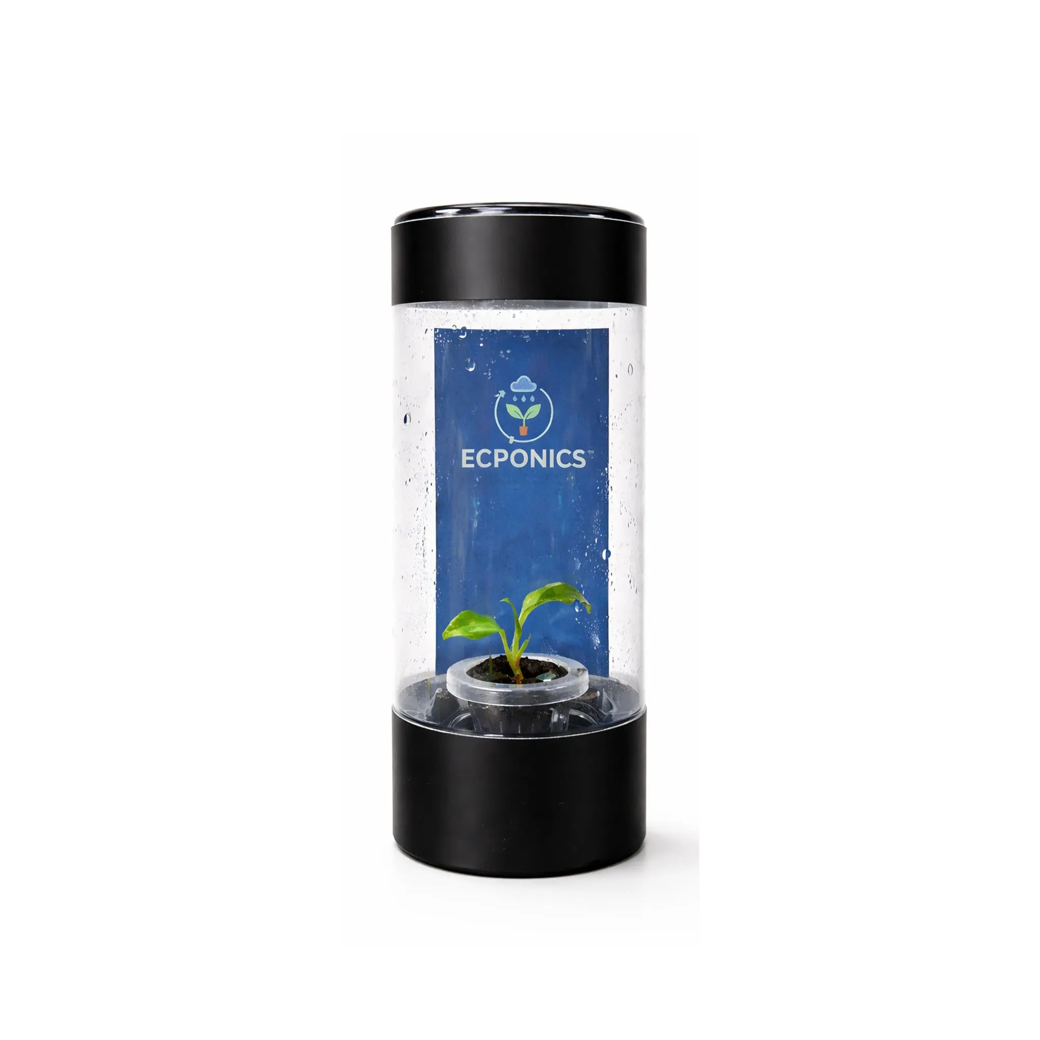 Philodendron Colombia Starter Plant - ECPonics Capsule with Stable Roots, Easy Care, Reusable Sealed Environment - Indoor Live Garden Supply, Gift for Intentional Gifting & Plant Introduction