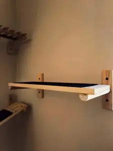 Modcat Shelf