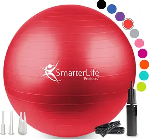 Smarterlife Exercise Ball Yoga Ball for Fitness, Balance, Stability, or Pregnancy, Gym Ball for Core Workout, Physical Therapy, Yoga Ball Chair for Office, Anti-Slip Anti-Burst SmarterLife Products LLC