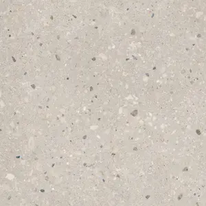 Forma Gris 24x24 Porcelain Tile Matte Sample