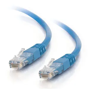 Cables To Go  65ft Cat5E 350 MHz Solid Patch Cable - Blue