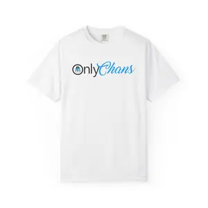 Chans Shirt, Funny Christopher Bang Kpop Tee, Stay Shirt, Gift For Fan Chan Stay, Shirt For Men Annd Women