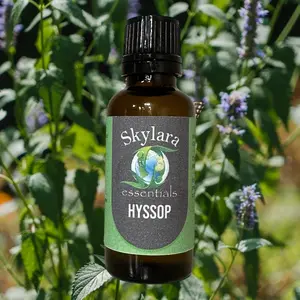Organic Hyssop Essential Oil - Pure and Therapeutic Grade