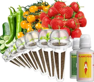 7-pods, 350+ Fruit Seeds(Include Red Strawberry, Golden Cherry Tomato, Green Pepper, Cucumber)