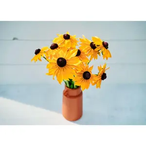 Marmalade - Rudbeckia Seeds