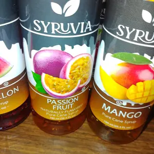 Syruvia Pink Splash Flavored Syrup for Drinks, Cocktails, Lemonades, Iced Teas and Desserts – 25.4 fl oz