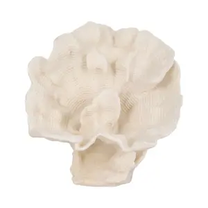212 MAIN Decorative 12 in. Coral Resin Hand Fan, Ivory Coastal Home Decor