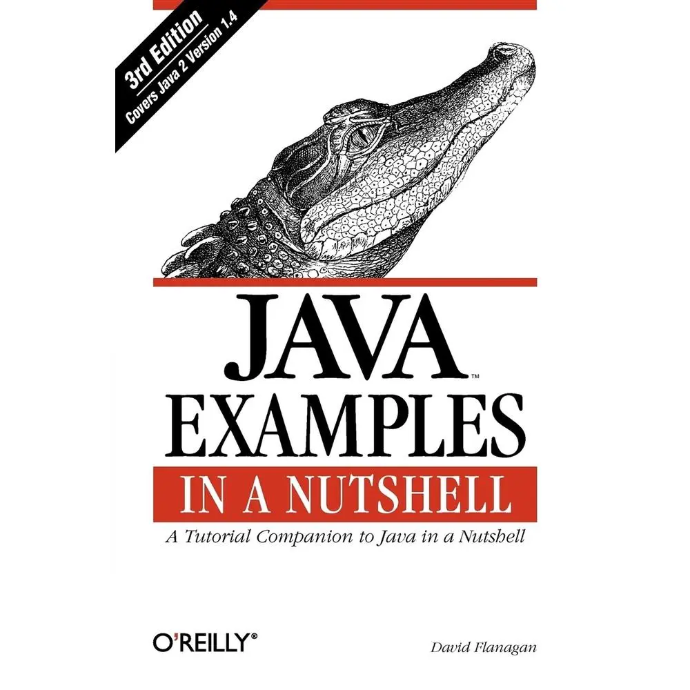 USED-Java Examples in a Nutshell by Flanagan, David (Paperback)