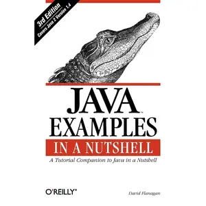 USED-Java Examples in a Nutshell by Flanagan, David (Paperback)