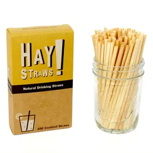 HAY! Straws Original Cocktail Drinking Straws | 100 Compostable & Disposable Drinking Straws | 5" Length
