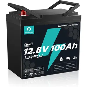 [LiFePO4 Battery]12.8V 100Ah Mini LiFePO4 Battery, Group 24 Lithium Battery, 120A Smart BMS, Low Temp Cutoff, 1280Wh, 15000+ Cycles for RV, Boat, Marine & Off-Grid Solar