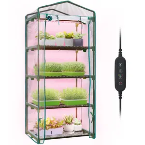 Bstrip 4-Tier Indoor Greenhouse with Grow Lights, 61.8" Mini Greenhouse with Dimmable 60W LED & Timer for Seed Starting