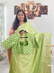 Heritage Pistachio Green with Classic Gold Border Shaded Chinon Crepe Silk Checks Saree with Blouse