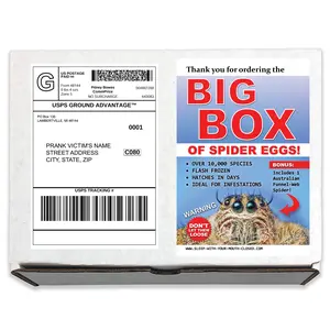 Spiders Prank Mail Gag Sent Directly to your Recipients For Embarrassing Laughs