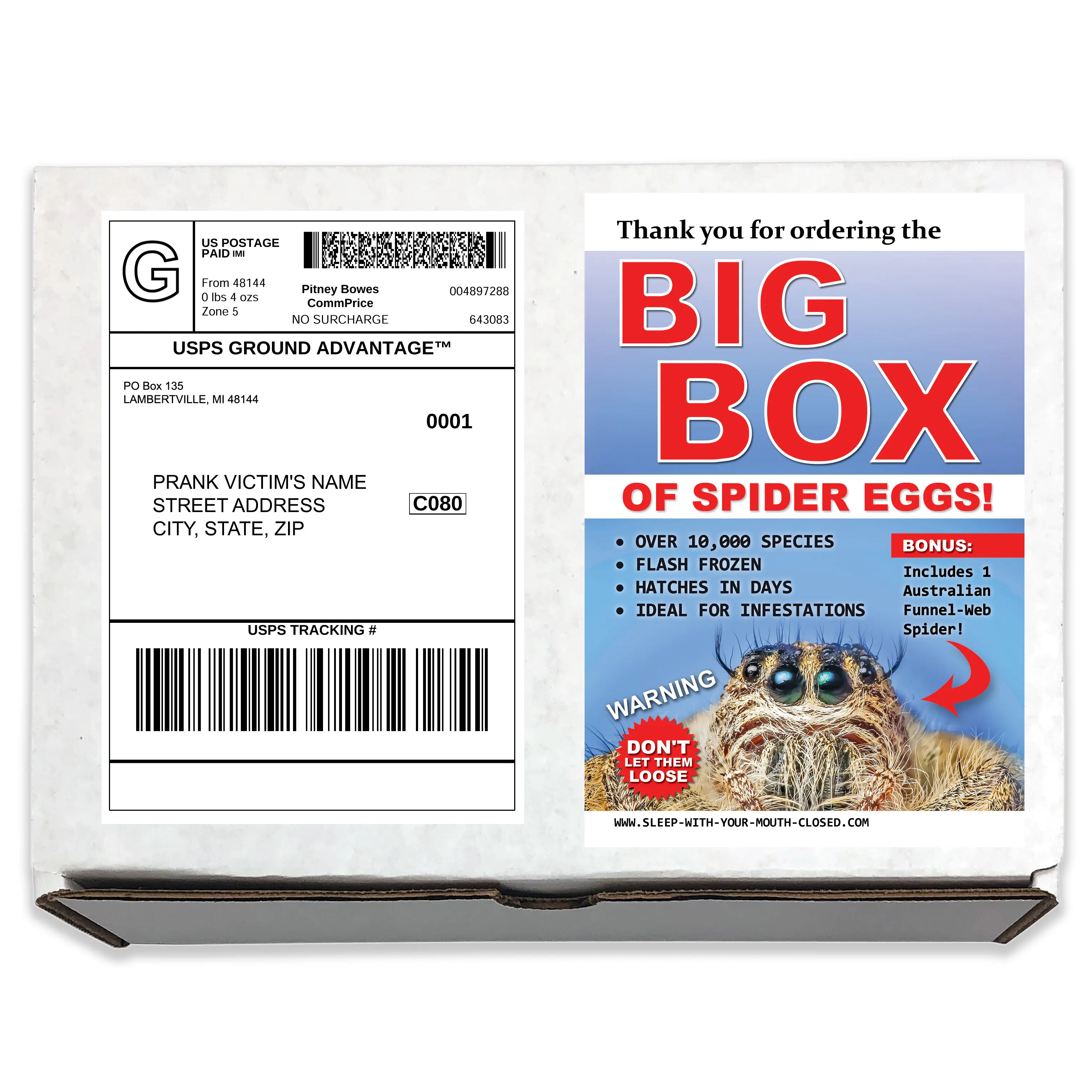 Spiders Prank Mail Gag Sent Directly to your Recipients For Embarrassing Laughs