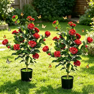 Two 3-foot artificial camellia trees, including 24 red flowers and flowerpots, 35-inch artificial camellia plants, anti-ultraviolet, decorate the living room, courtyard and office all year round.