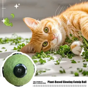 Interactive Catnip Ball with LED Light, Plant-Based Cat Toy for Hairball Relief & Digestion, Mint Scented Hollow Ball for Teeth Cleaning, Anxiety Relief for Indoor Cats