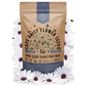 Cape Daisy Flower Seeds Pack 1 oz