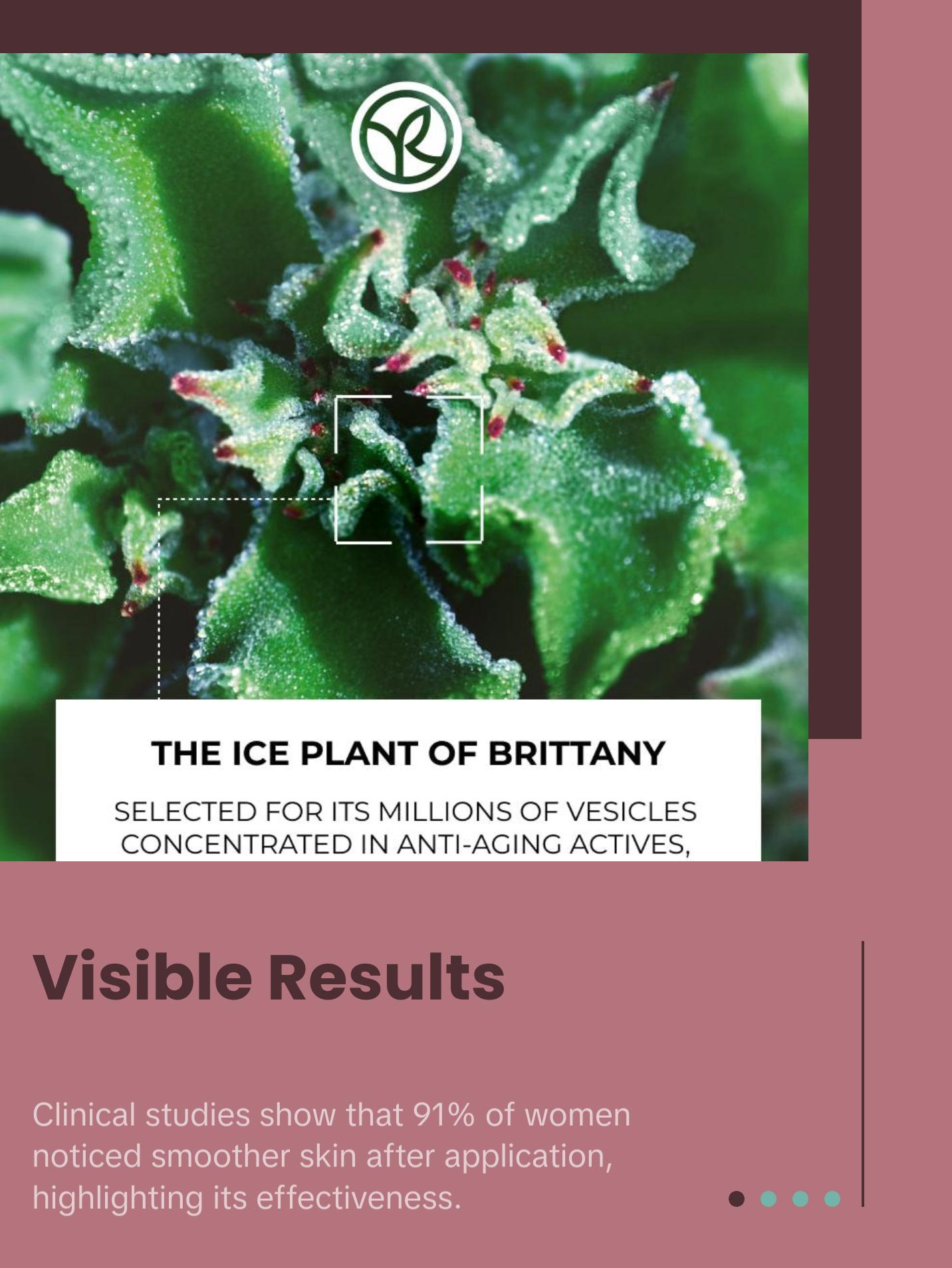 Lift Pro Collagene - Anti-Wrinkle Lifting Night Cream