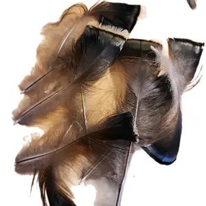 wild turkey feathers long metallic pack of 35